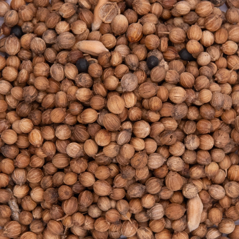 Provence d'Antan - Coriandre en grains - 30 g