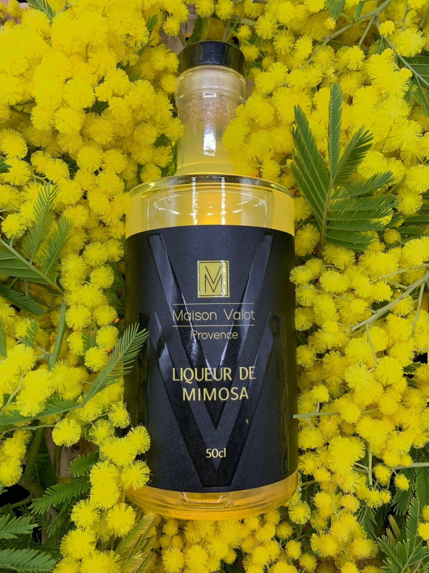 Liqueur de mimosa